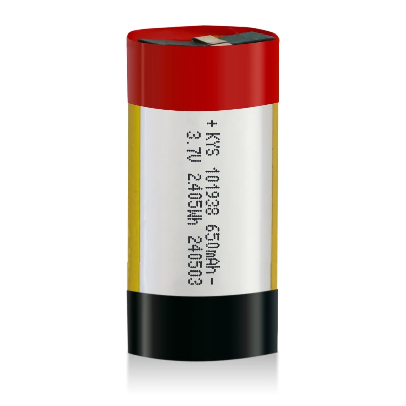 Rechargeable Cell
