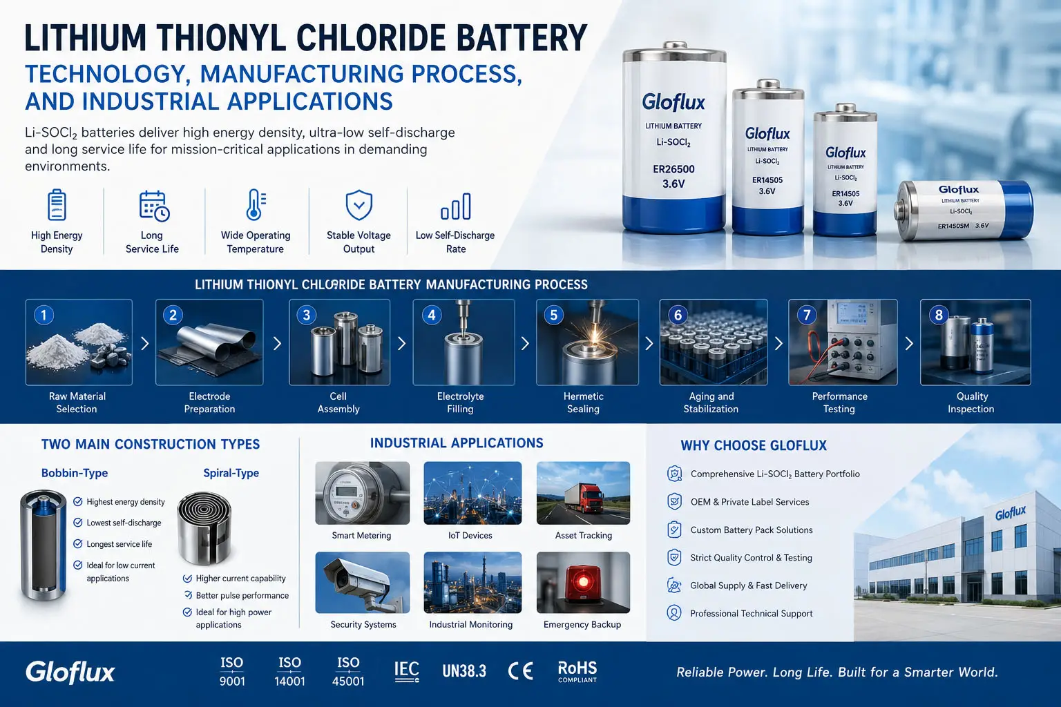 Lithium Thionyl Chloride Battery
