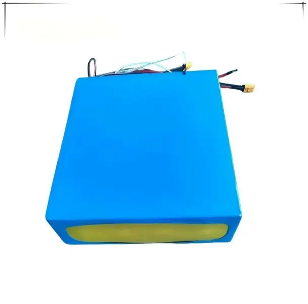 Rechargeable LiFePO4 battery module for AGVs and service robots